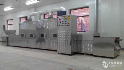 面筋微波干燥設備價格全解析 全網低價與產品報價服務