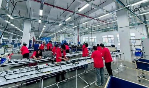 商洛高新區弗迪科技線束工廠四期投產 以網絡技術服務賦能汽車產業高質量發展